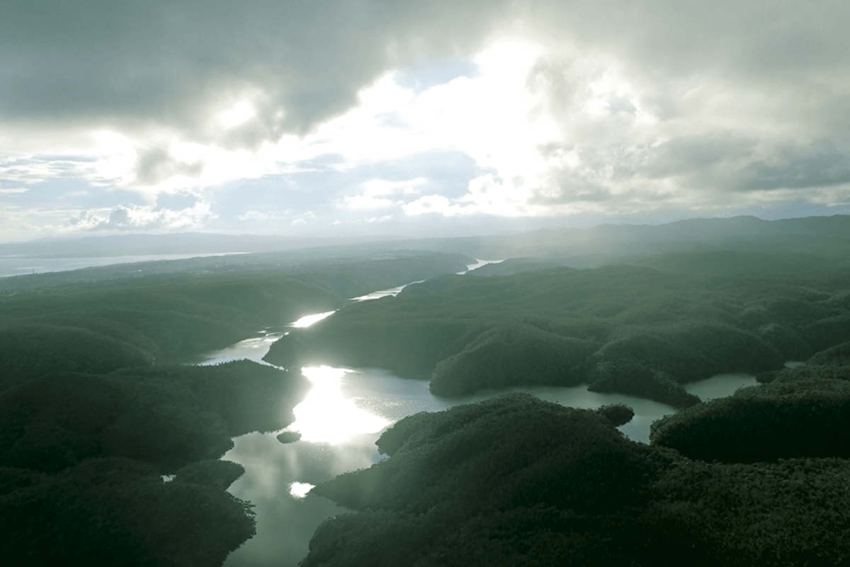 La isla Iriomote: el último rincón inexplorado de Japón